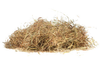 Does soaking hay really reduce carbohydrate content?
