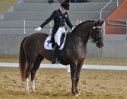 Feeding the Dressage horse