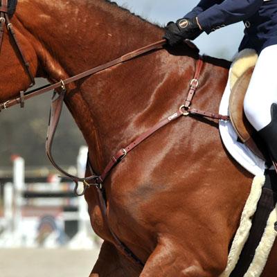 How to add condition and weight to “hot, fizzy” horses
