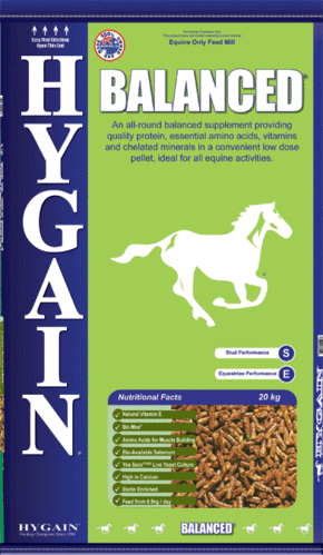 Vitamins and minerals in horses